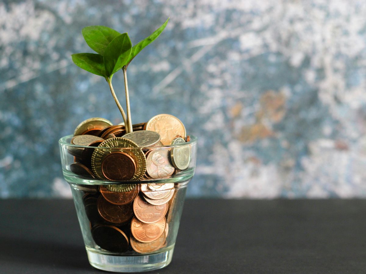 A coin jar with a small plant growing from it
